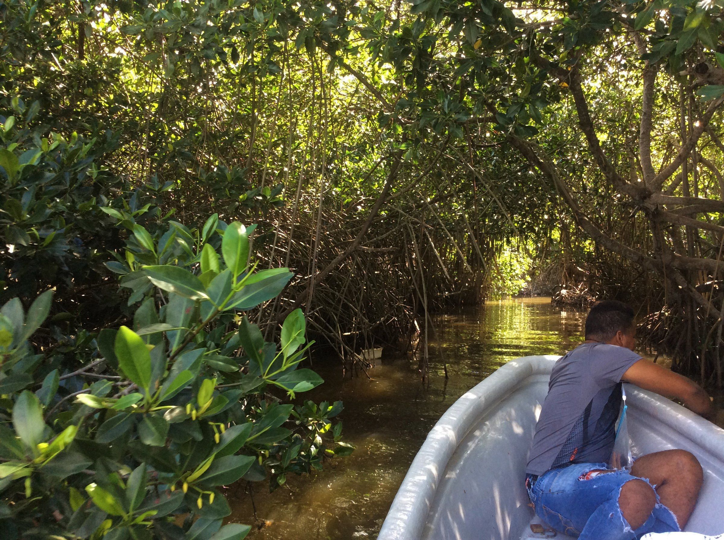 Un integrante de la comunidad recorre en lancha un canal entre los mangles