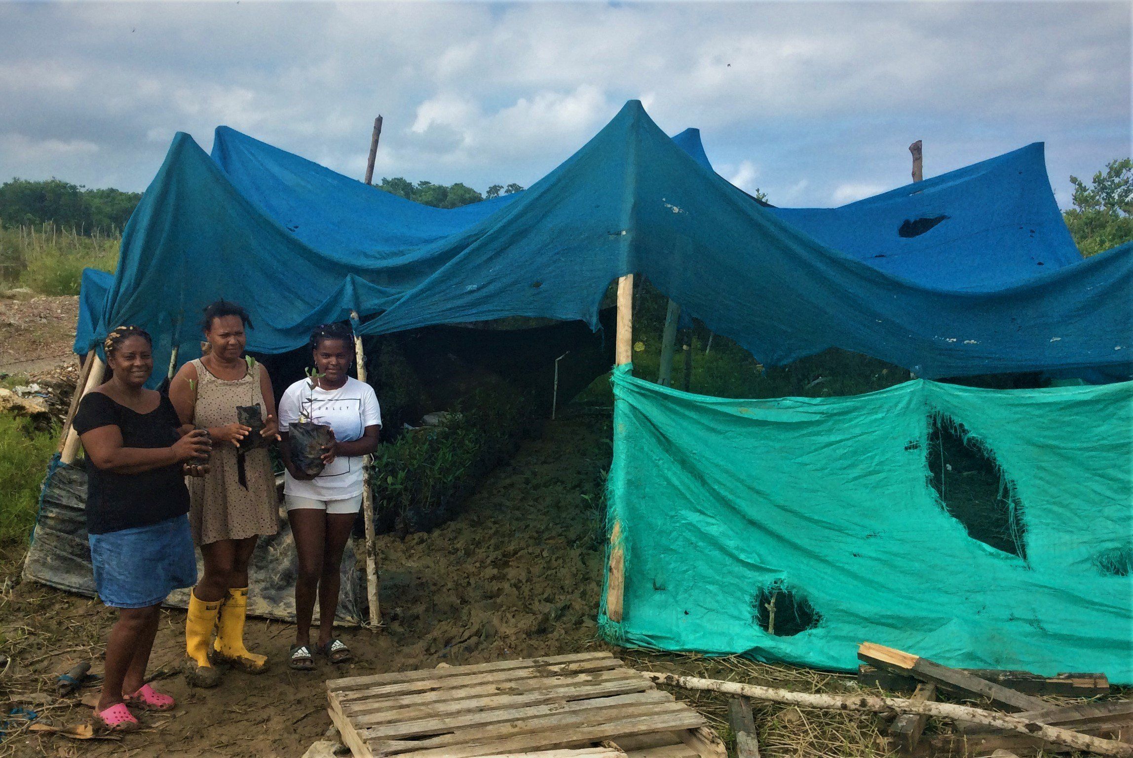 Tres mujeres de la comunidad con plántulas de mangle frente al vivero cubierto con polisombra